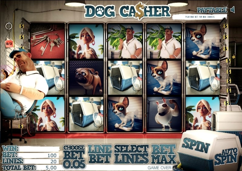 Dog Casher min