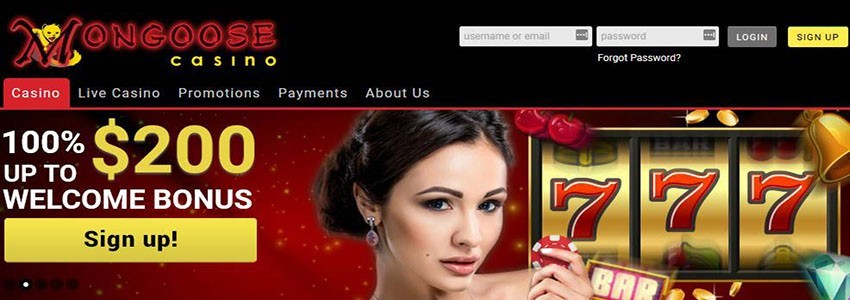 Mongoose casino login page